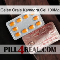 Gelée Orale Kamagra Gel 100Mg new13